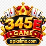 345E Game