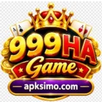 999HA Game