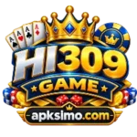HI309 Game